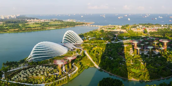 Aerial view of Gardens By The Bay in Singapore