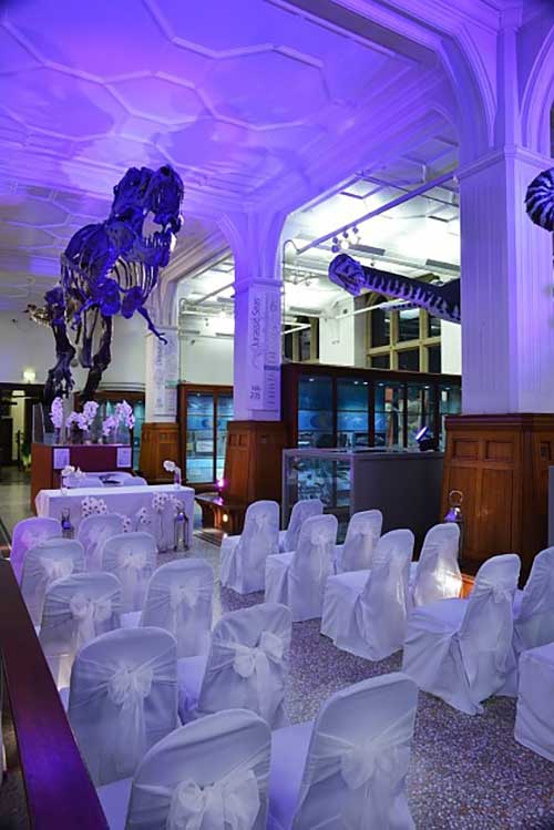 Chairs set out for an event at The Manchester Museum at The University of Manchester