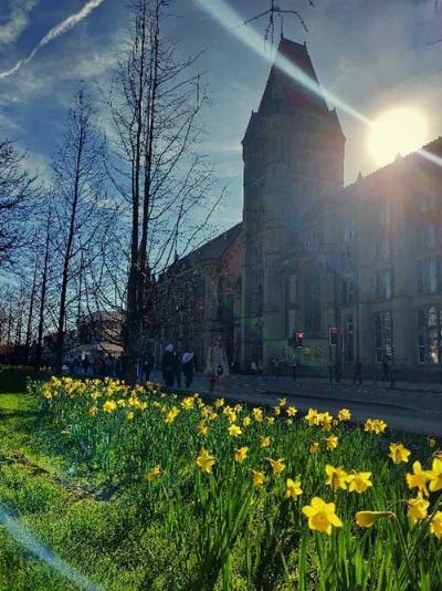 A view along Oxford Road, Manchester, with daffodils in the foreground and the Whitworth building in the background