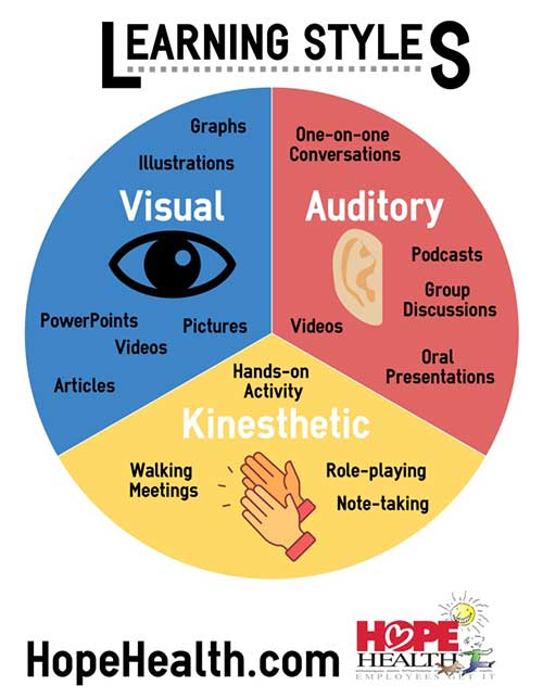 Learning styles wheel diagram