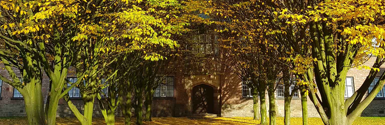 A tree in autumnal colours