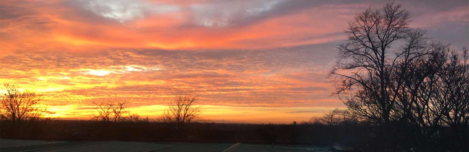 A sunset over a park in Manchester