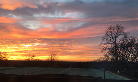 A sunset over a park in Manchester