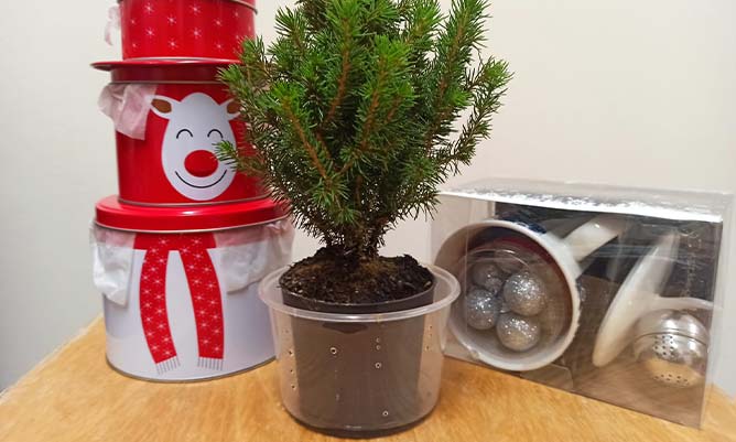 A desk with a christmas theme