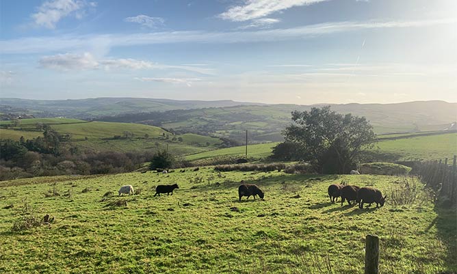 The countryside in the north of England