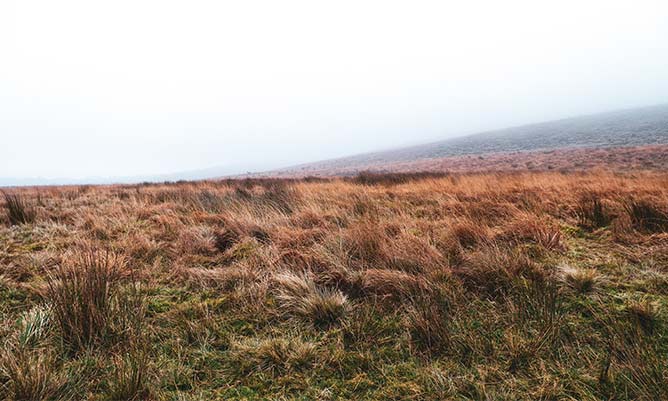 Gritstone Trail Higher Moors