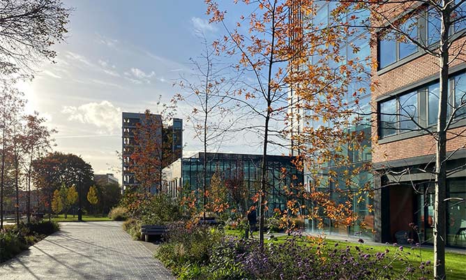 The Alliance Manchester Business School building in the sunshine 