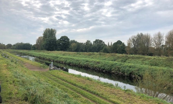 A field with a small river running through it 