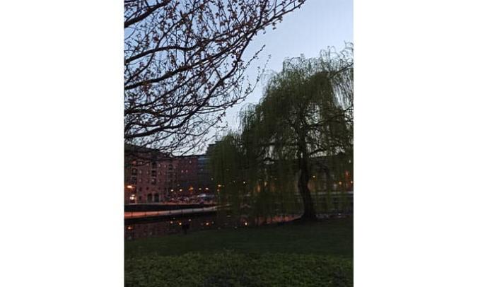 A picture of an unknown park in Manchester as it is dark