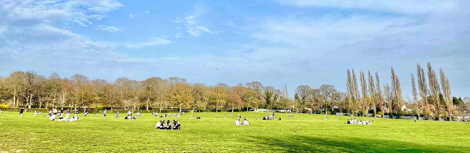 people sat on a large field on a sunny day