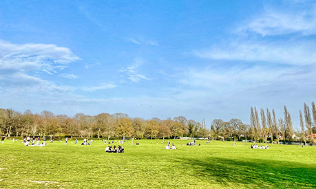 people sat on a large field on a sunny day