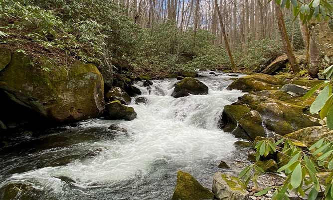 A river in the USA