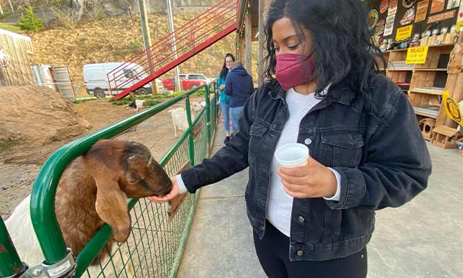 Michelle feeding a goat in the USA