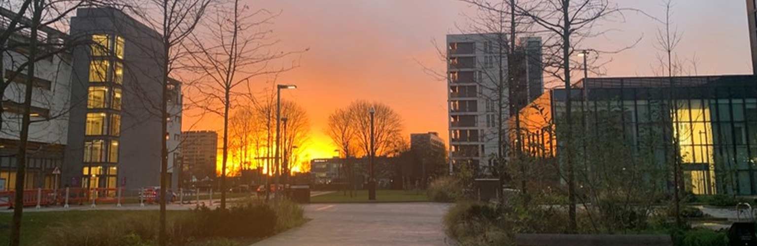 A view of the Executive Education Centre and Trinity High School in Manchester during a sunset