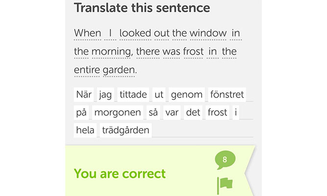 A screenshot of a translation app