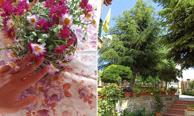 some pink flowers and a green tree