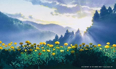 Yellow flowers in the foreground and mountains in the background