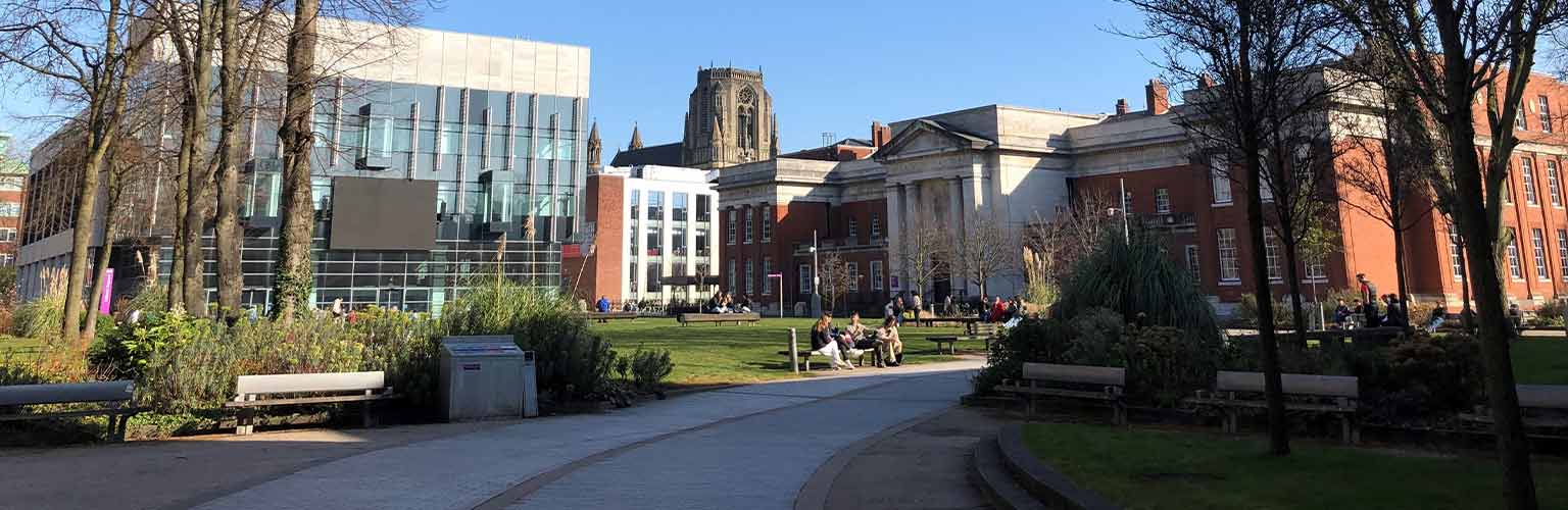 The Alan Gilbert Learning Commons in the sunshine and blue sky in the background