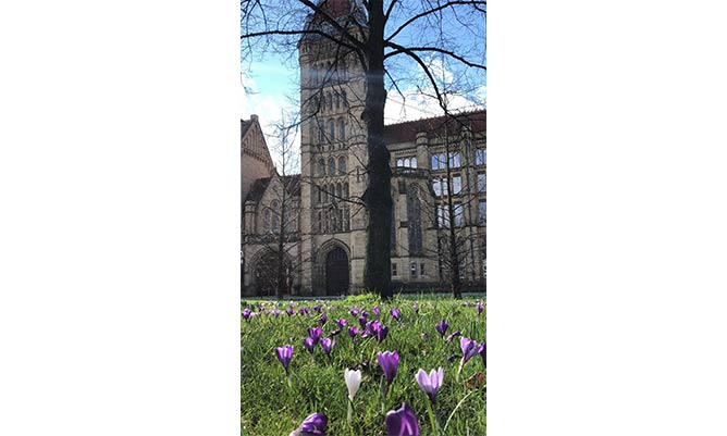 flowers underneath university of manchester