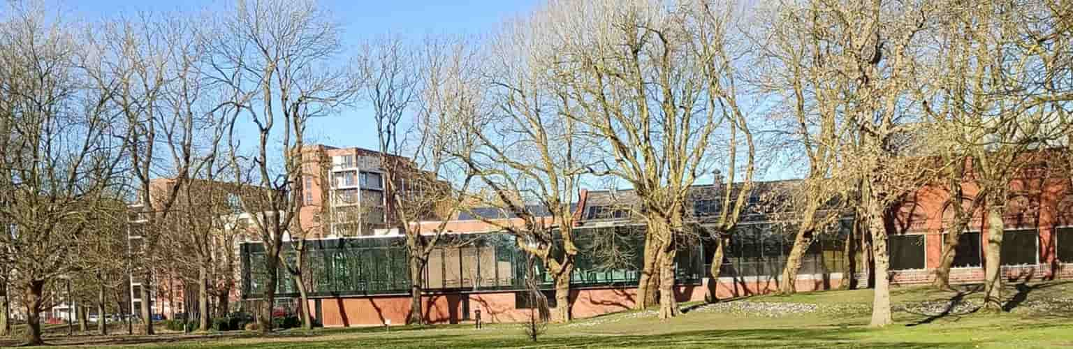 building behind trees in the sunshine