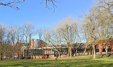 building behind trees in the sun