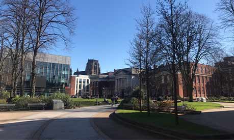 The Alan Gilbert Learning Commons during a sunny day