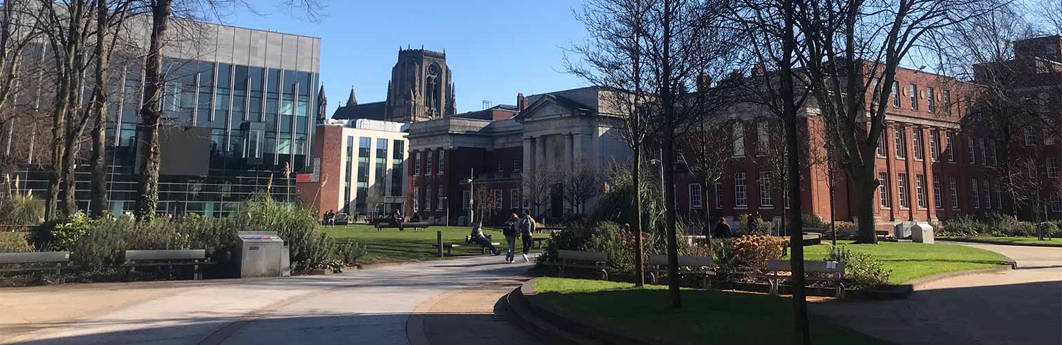 The Alan Gilbert Learning Commons during a sunny day