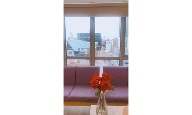 vase of flowers in front of window looking out to manchester