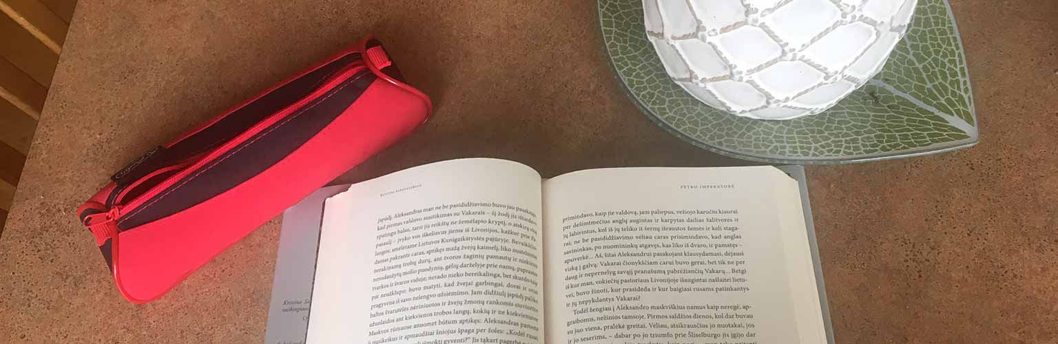 open book, pencil case and plant on a desk