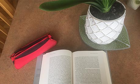 open book, pencil case and plant on a desk