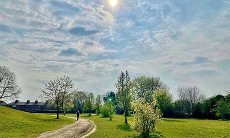 A park in the Manchester region with the sun in the sky