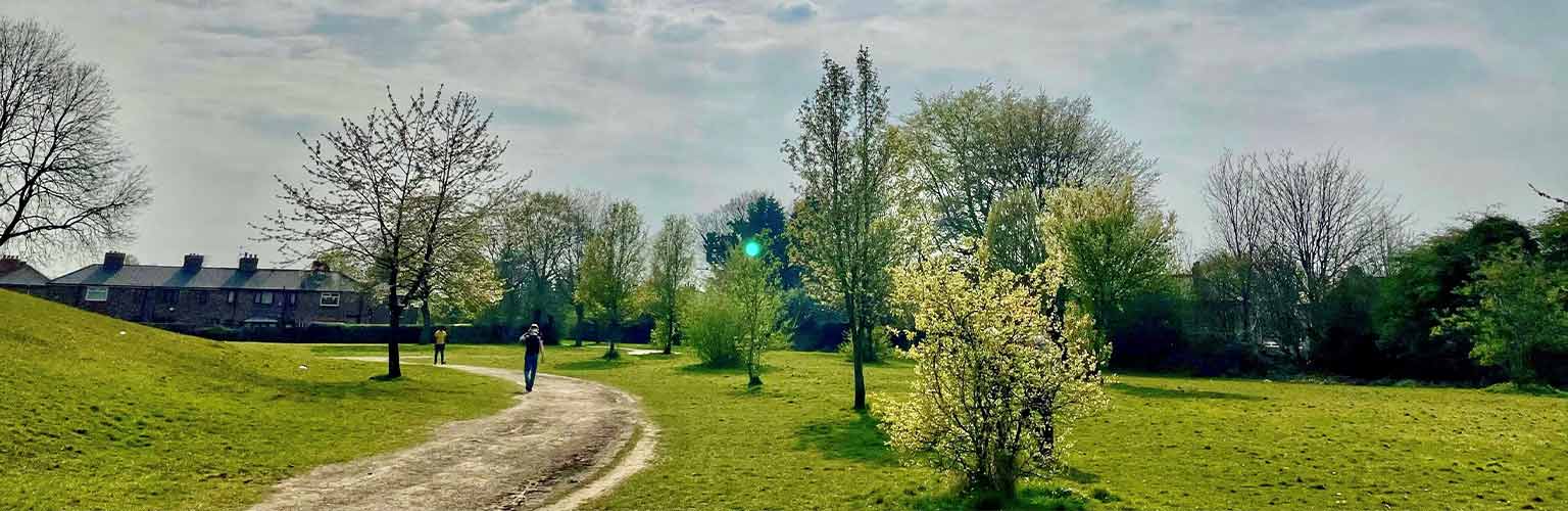 A park in the Manchester region with the sun in the sky