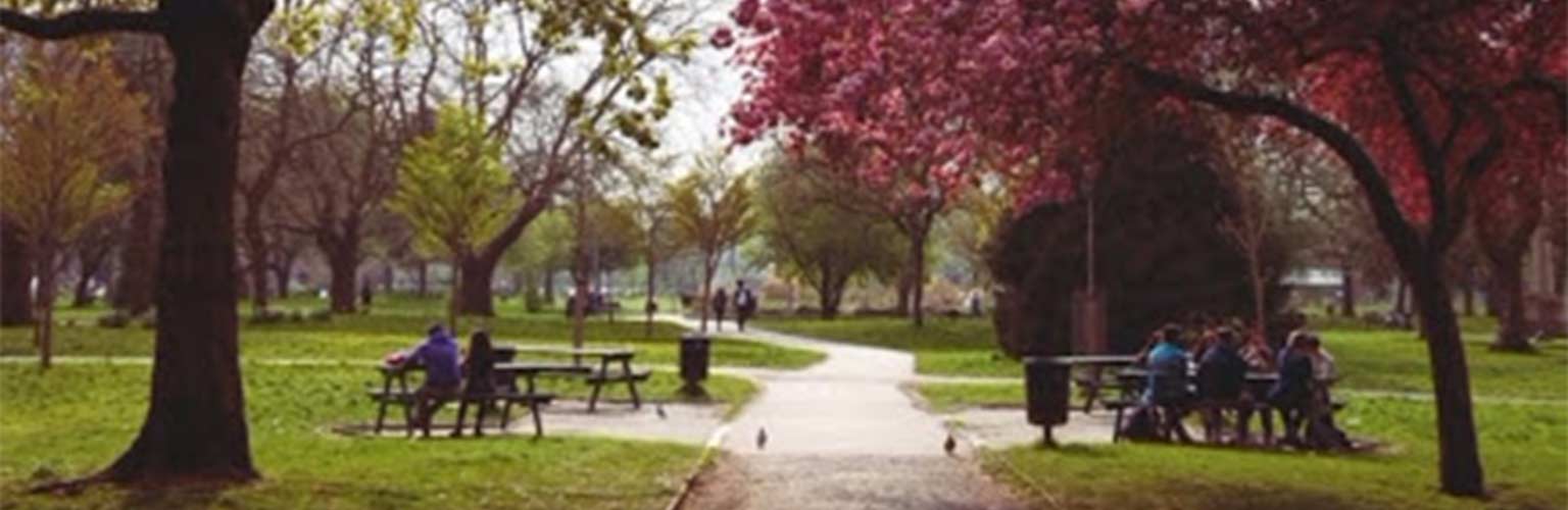 A park in Manchester with students sitting on two separate tables 