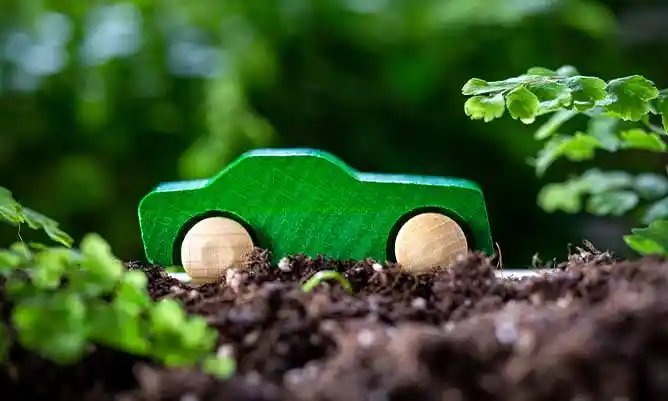 A toy green car in the soil surrounded by leaves