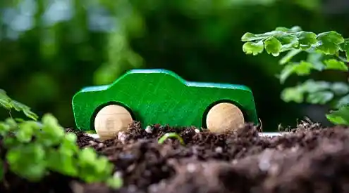 A toy green car in the soil surrounded by leaves