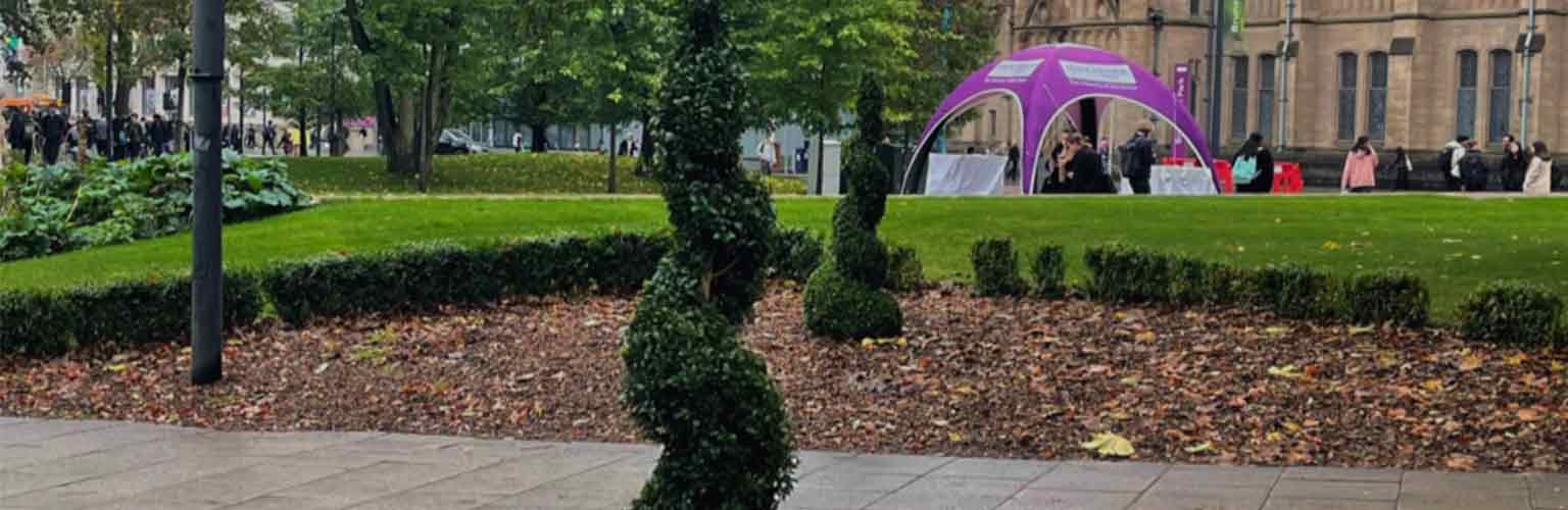 A spiral tree structure at the front of the University of Manchester