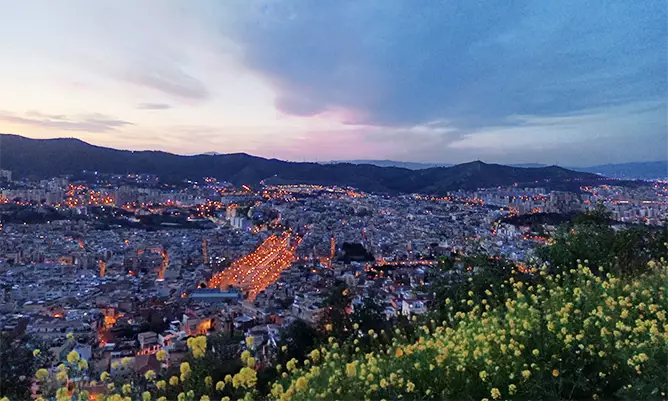 A view of the city of Barcelona from a hill
