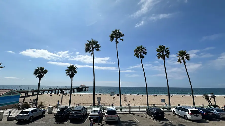 Palm trees on a Los Angeles beach on a sunny day.