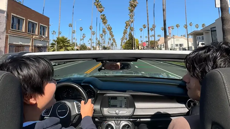 Two young men driving in a convertible car through palm tree-lined Los Angeles street.