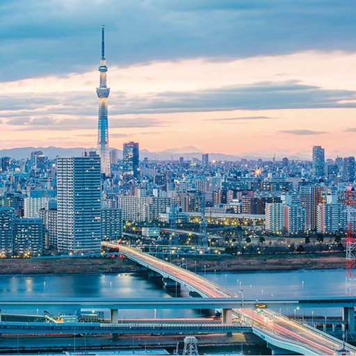 International Business Project - Internships