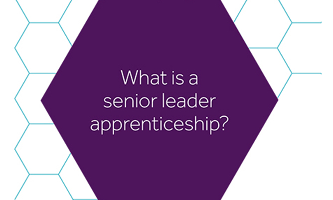 what is a senior leader apprenticeship