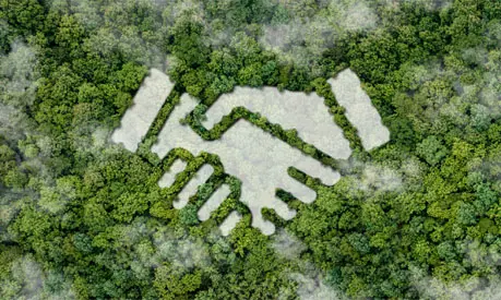 An icon of hands holding over trees.