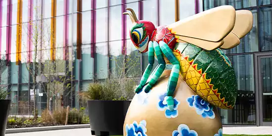 Executive Education for Chinese clients