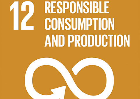 Goal 12: Responsible Consumption and Production