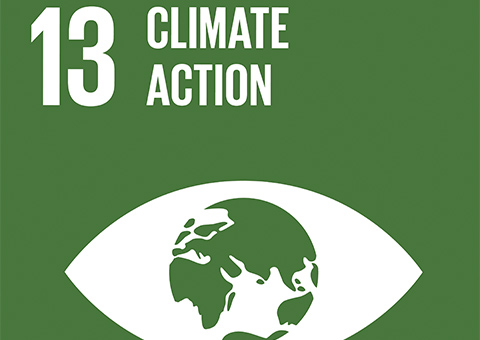 Goal 13: Climate Action