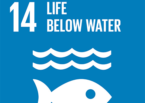 Goal 14: Life Below Water