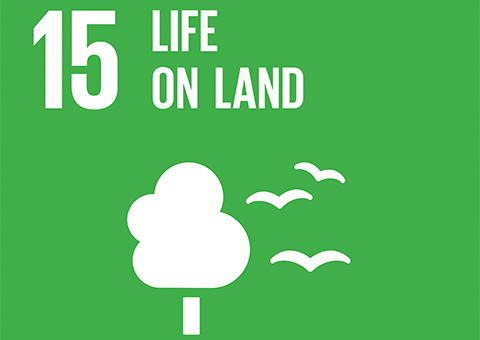 Goal 15: Life on Land