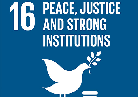 Goal 16: Peace, Justice and Strong Institutions