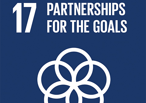 Goal 17: Partnerships for the Goals
