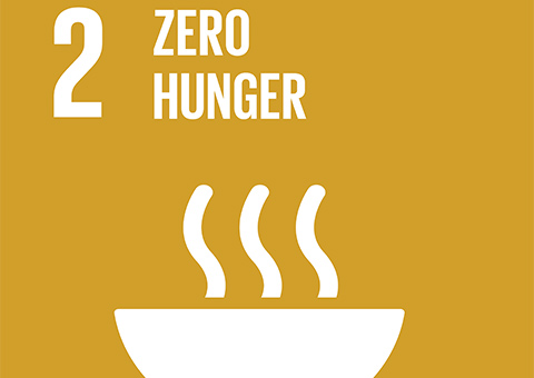 Goal 2: Zero Hunger